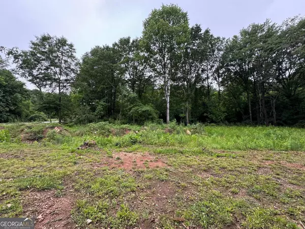 Ellenwood, GA 30294,0 Old Toney RD