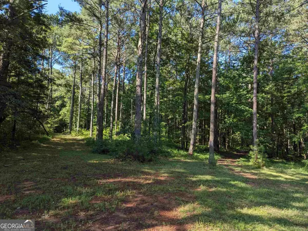 Newnan, GA 30263,LOT 3 Joe Roberts RD