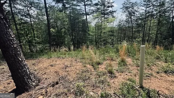 Young Harris, GA 30582,TRACT 1 Georgia Highway 66