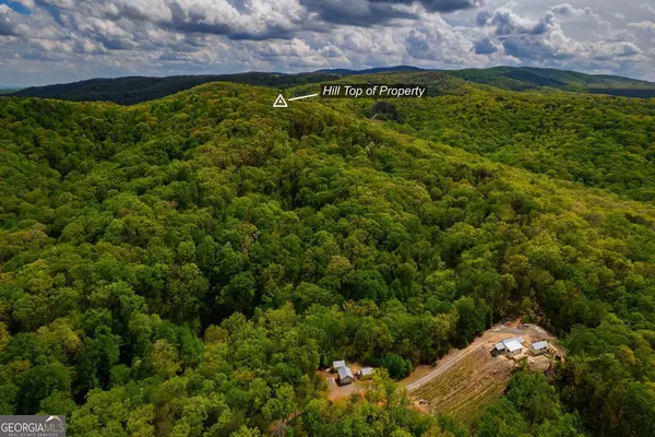 Ellijay, GA 30540,43.91 Old Burnt Mountain RD #PART OF C