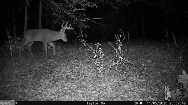 1 Americus HWY, Rupert, GA 31081