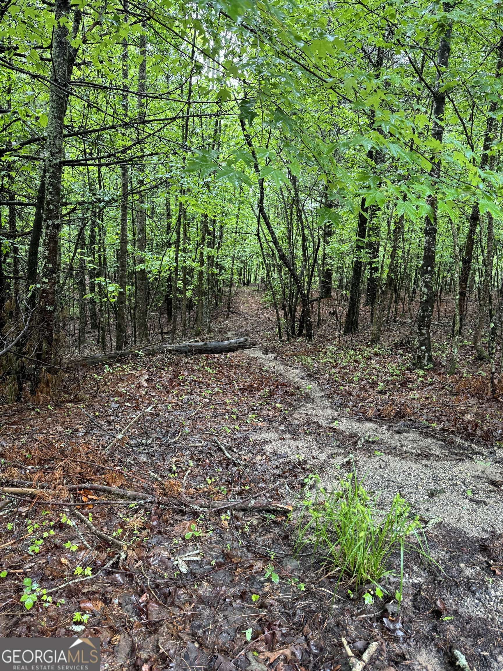 Blairsville, GA 30512,001 Harmony RD