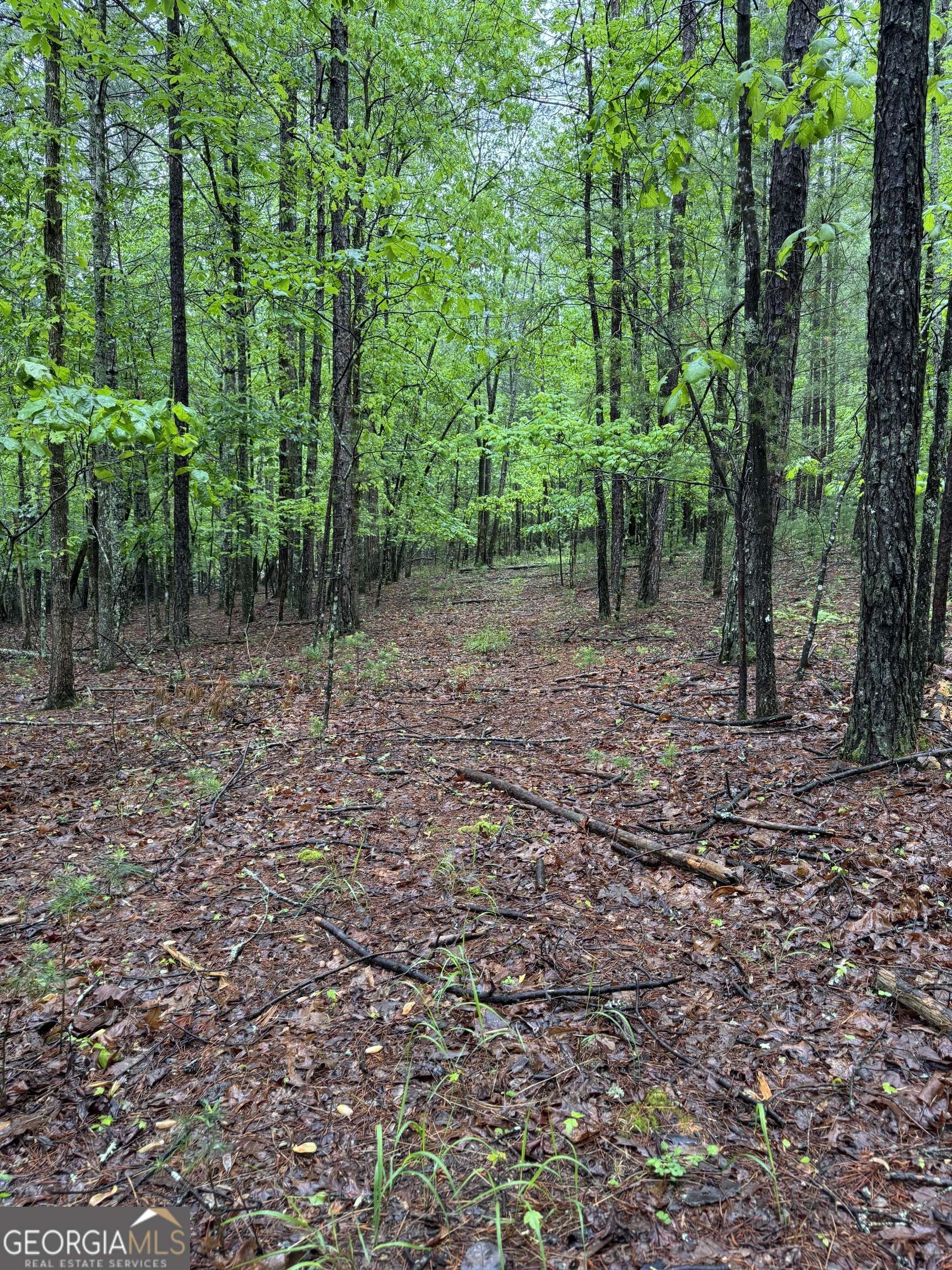 Blairsville, GA 30512,001 Harmony RD