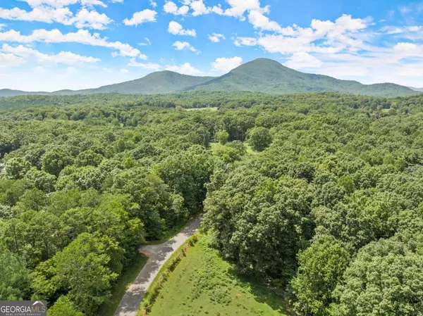 Cleveland, GA 30528,0 Arthur Allen RD #LOT 2
