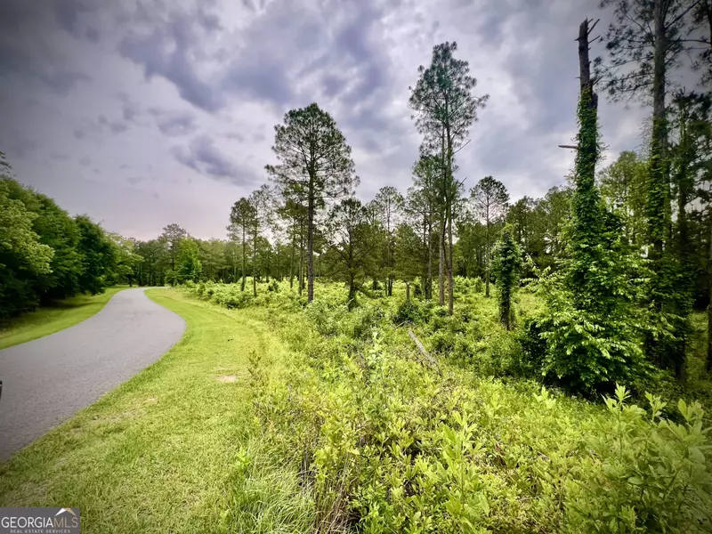 0 Walke Dairy RD, Dublin, GA 31021