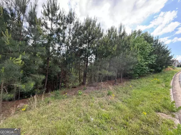 Newnan, GA 30265,40 Arbor Springs Pkwy