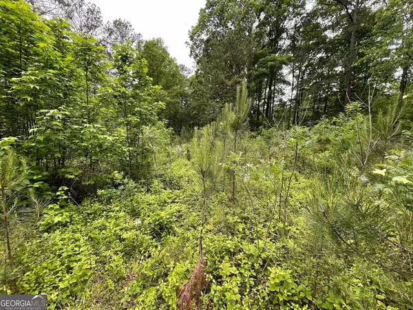 Covington, GA 30016,575 Anderson Creek RD