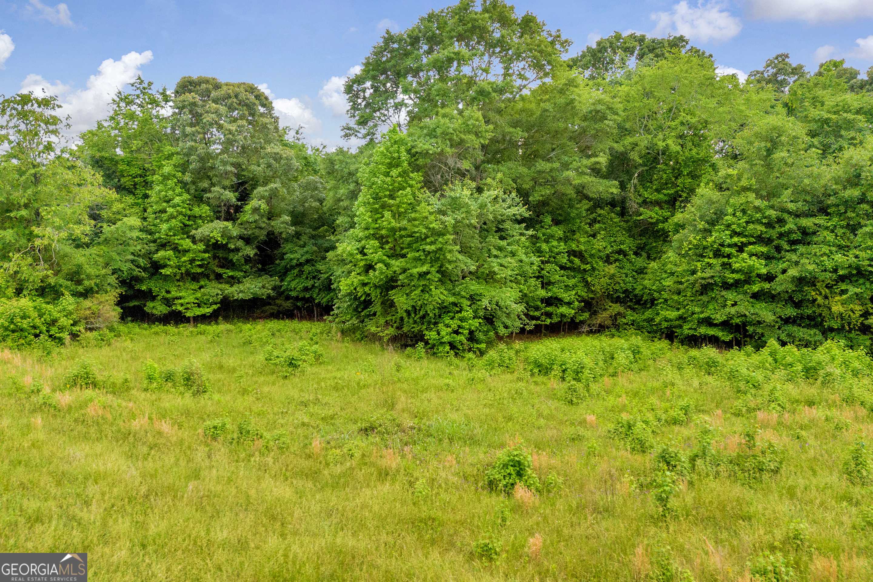 Jefferson, GA 30549,538 Davis RD