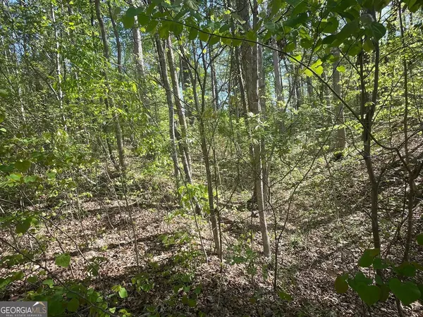 Martin, GA 30557,174 Navajo TRL