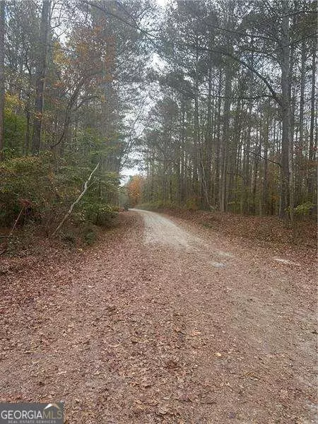 9905 BRAZELL RD, Palmetto, GA 30268