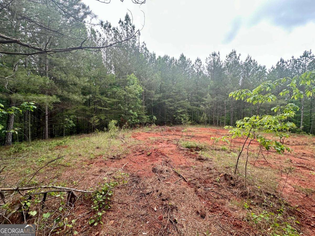 5.3-/+ Patriot, Dahlonega, GA 30533