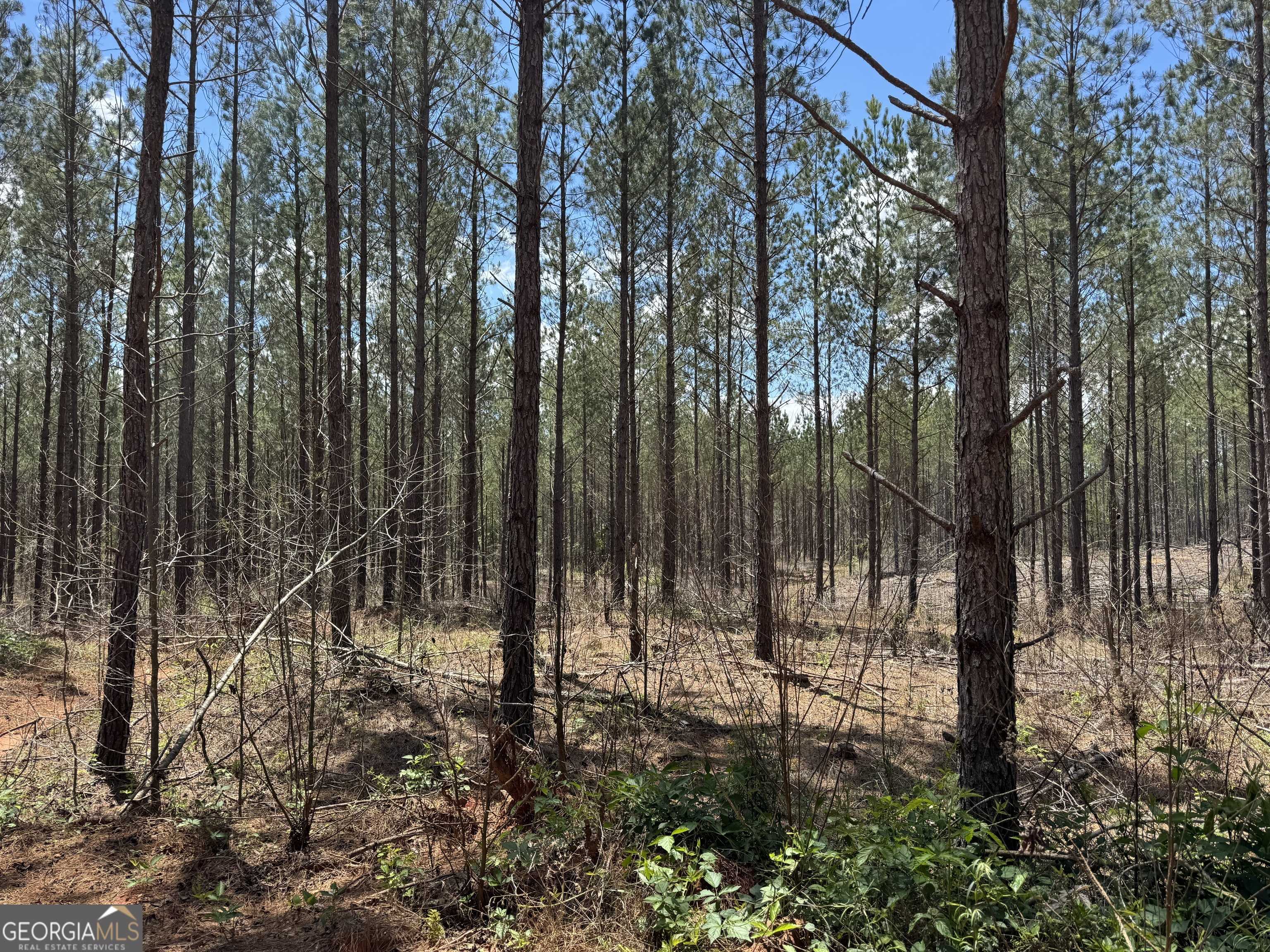 Franklin, GA 30217,LOT 2 Lipham RD