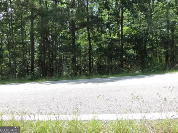 Sparta, GA 31087,0 Island Creek DR W