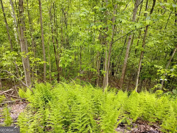 Scaly Mountain, NC 28775,0 Highland Gap RD #19