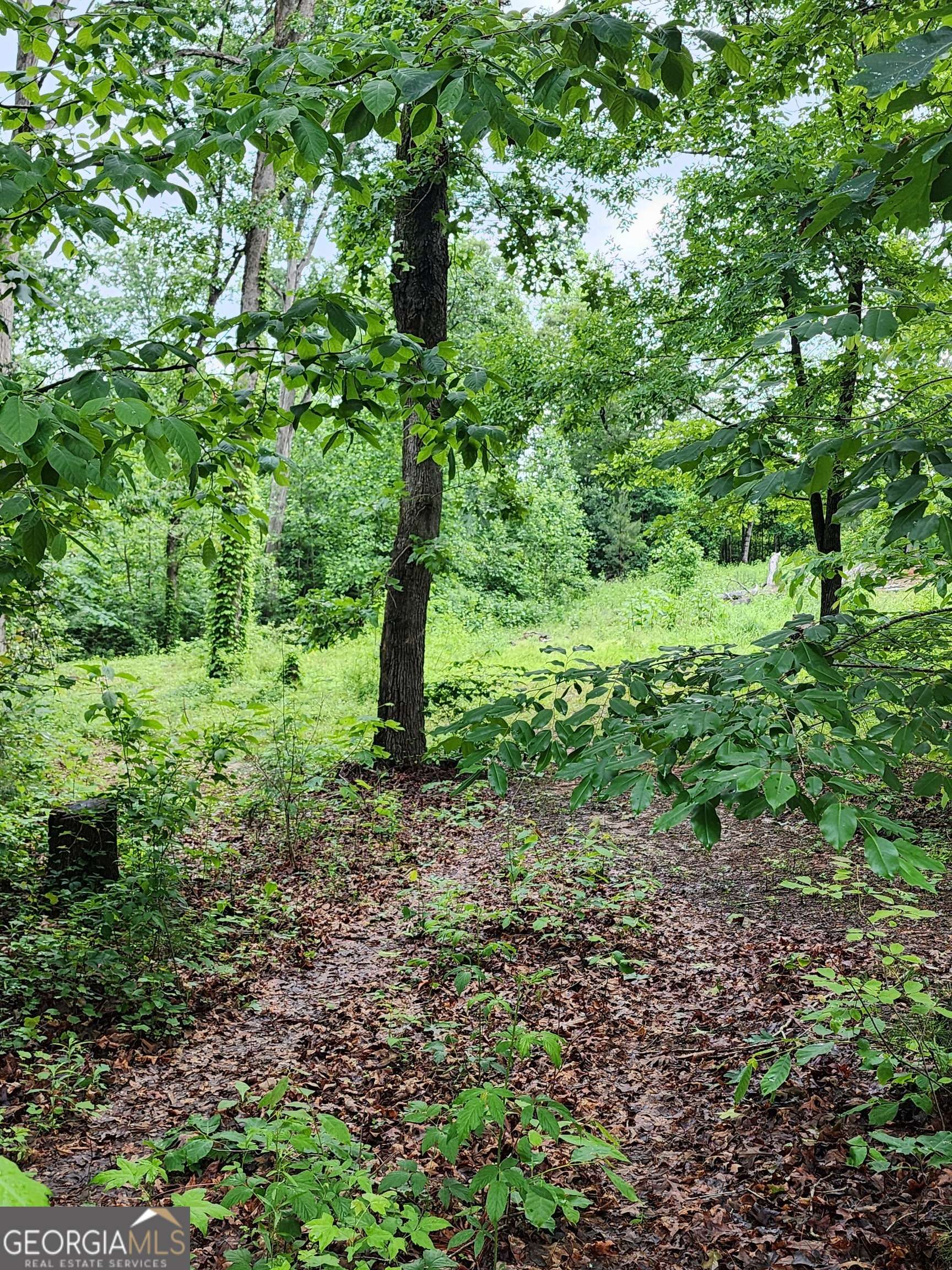Carnesville, GA 30521,2760 Kesler RD