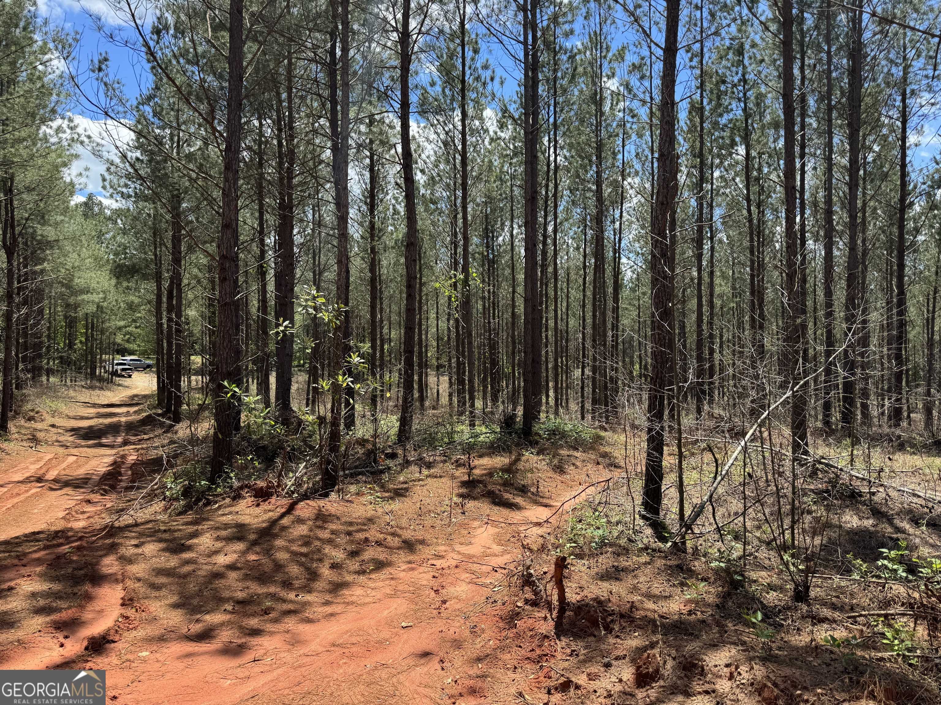 Franklin, GA 30217,LOT 1 Lipham RD