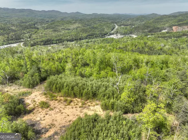 138.06 AC off Hwy. 515 N., Ellijay, GA 30540