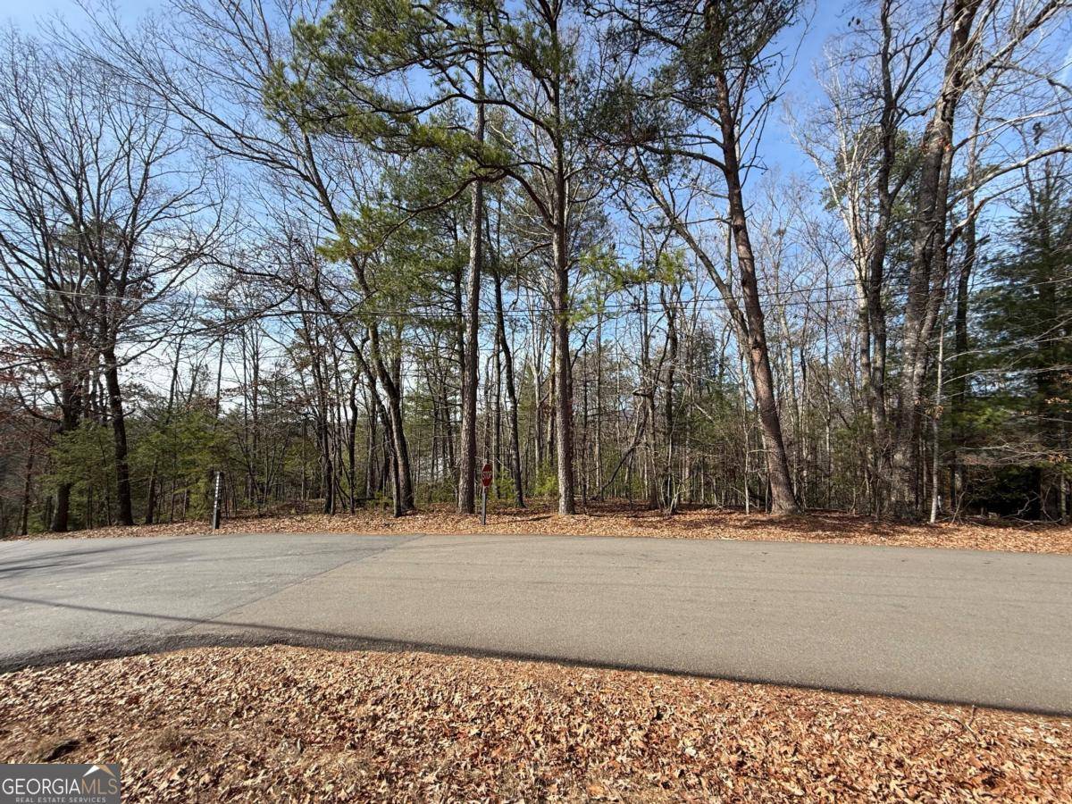 Ellijay, GA 30540,LOT 47 Seneca DR