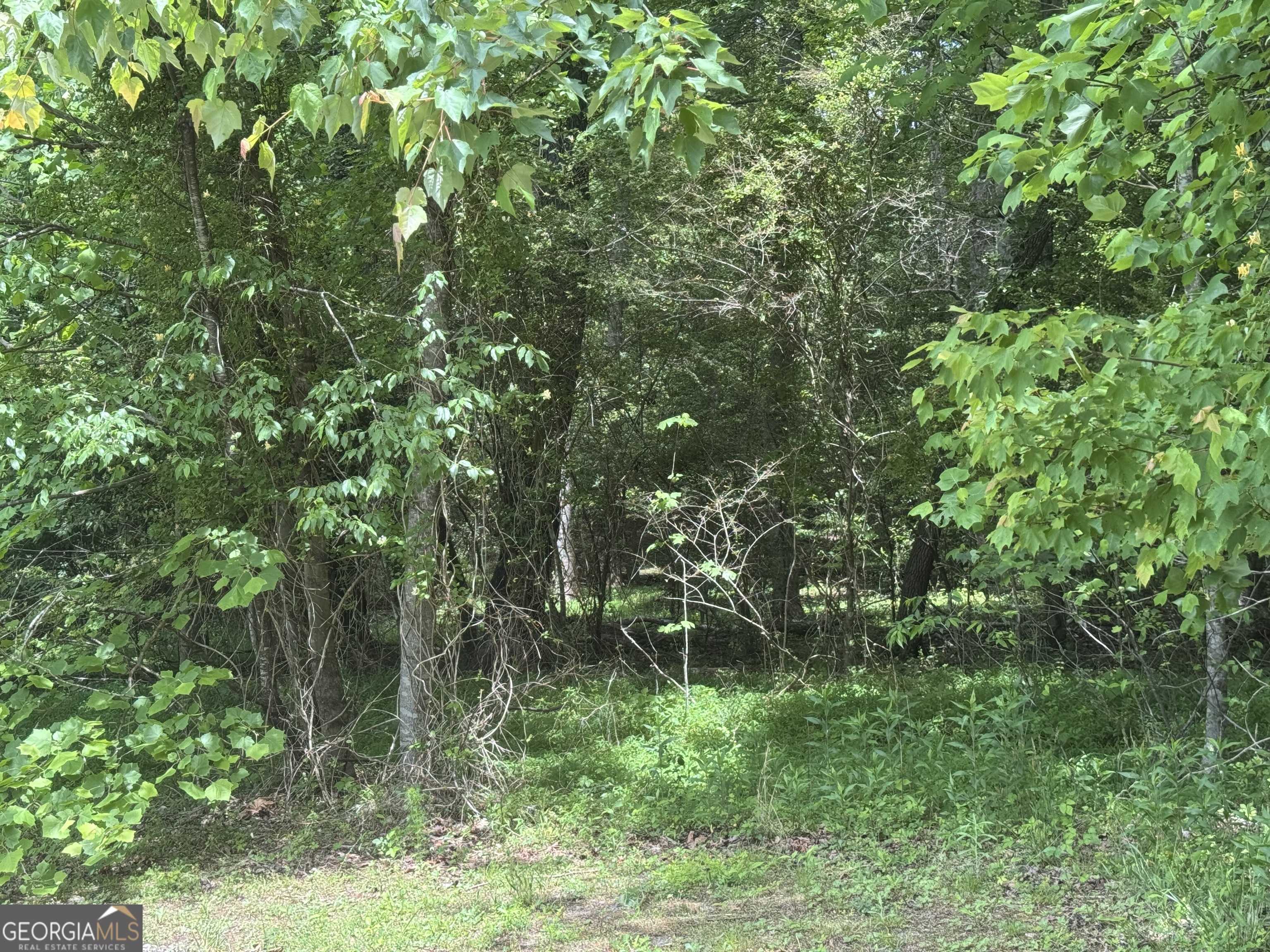 Young Harris, GA 30582,LOT 3 Still Meadow CT