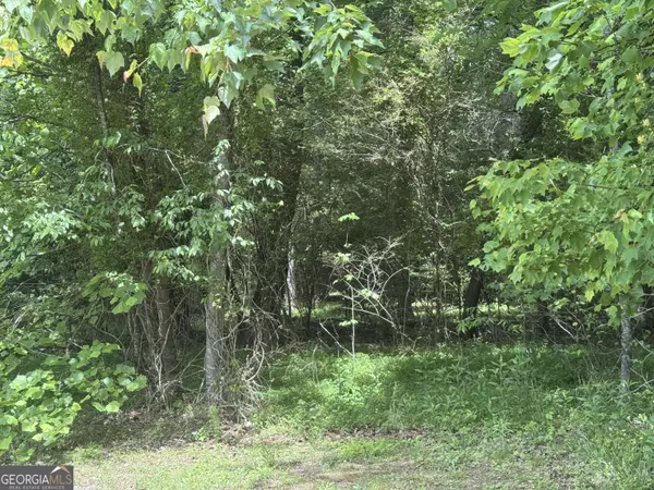 Young Harris, GA 30582,LOT 3 Still Meadow CT