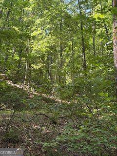 Ranger, GA 30734,176 ABBEY CT