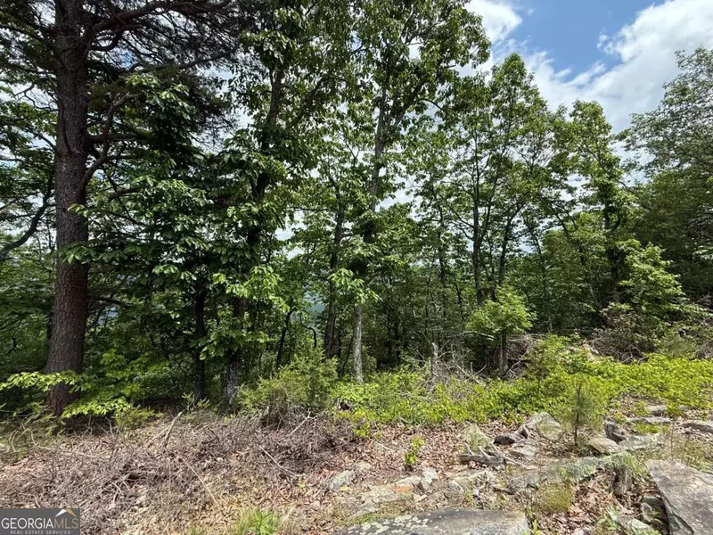 157 HWY, Menlo, GA 30731