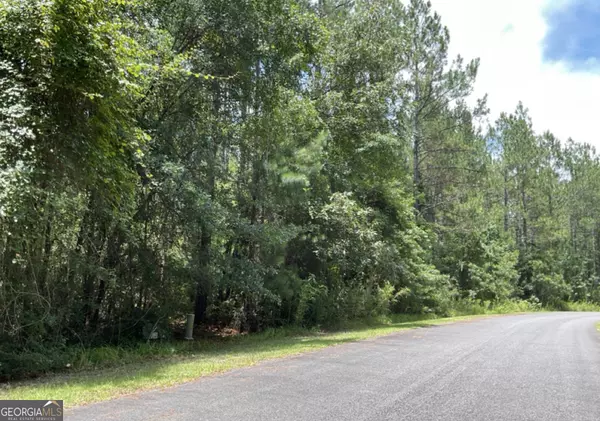 White Oak, GA 31568,V/L 19 James LN
