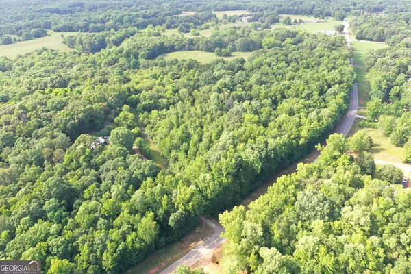 Danielsville, GA 30633,0 Highway 29 N #A