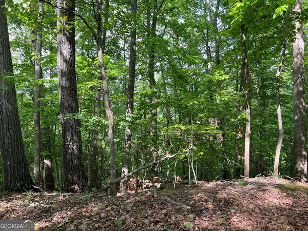 Hayesville, NC 28904,LOT 26 Longview Drive
