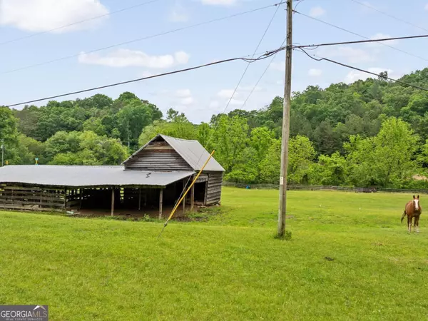 Ellijay, GA 30536,83 Licklog RD