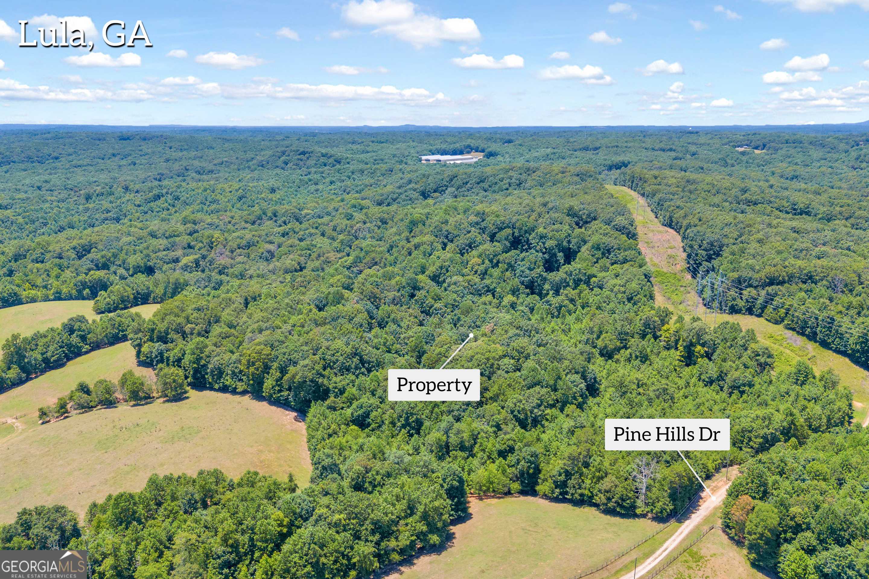 Lula, GA 30554,0 Pinehills DR