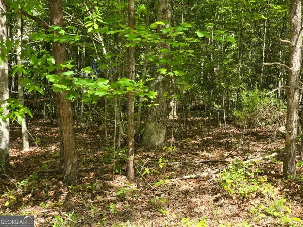 Young Harris, GA 30582,TRACT 4A Garland LN