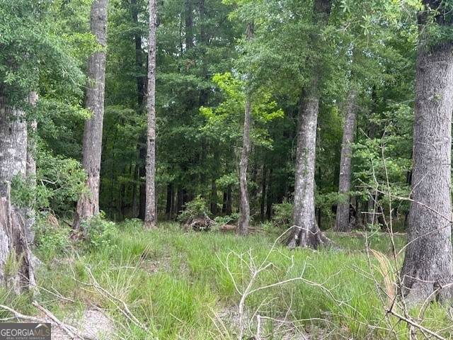 Columbia, AL 36319,200+/-AC County Road 112