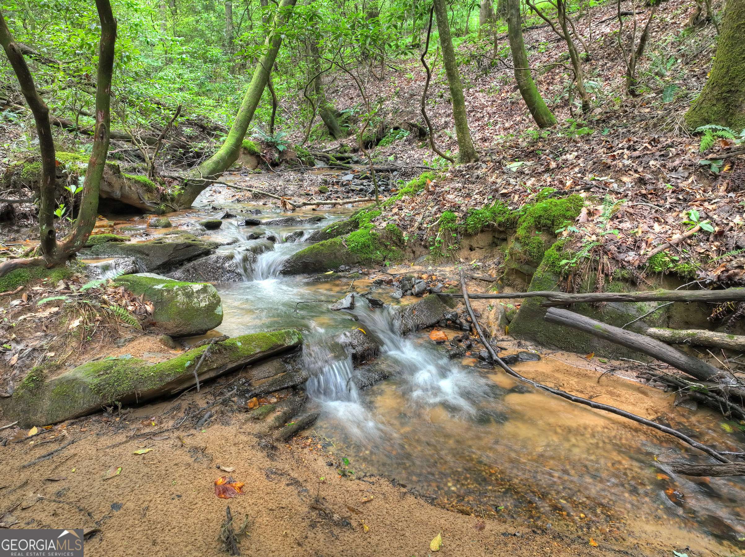 Ellijay, GA 30540,744 Dover Falls TRL