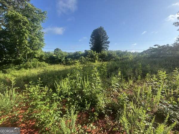 0 Davis Rd 1.63 Acres,  Eastanollee,  GA 30538