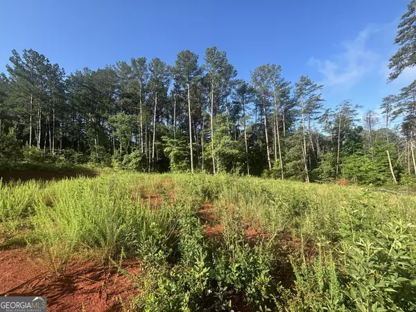 Eastanollee, GA 30538,0 Davis Rd 1.63 Acres