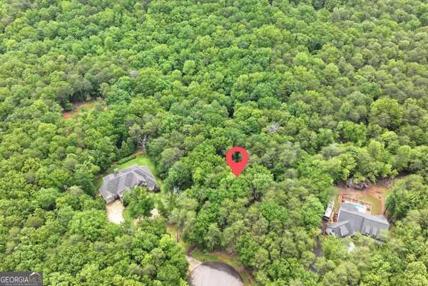Dahlonega, GA 30533,0 White Tail CT