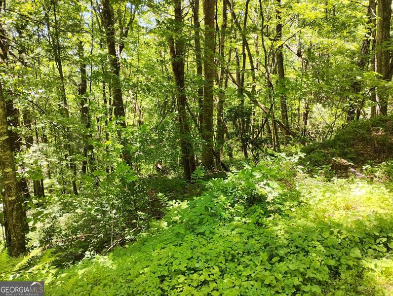0 LaBelle Circle #LOT 92, Sky Valley, GA 30537