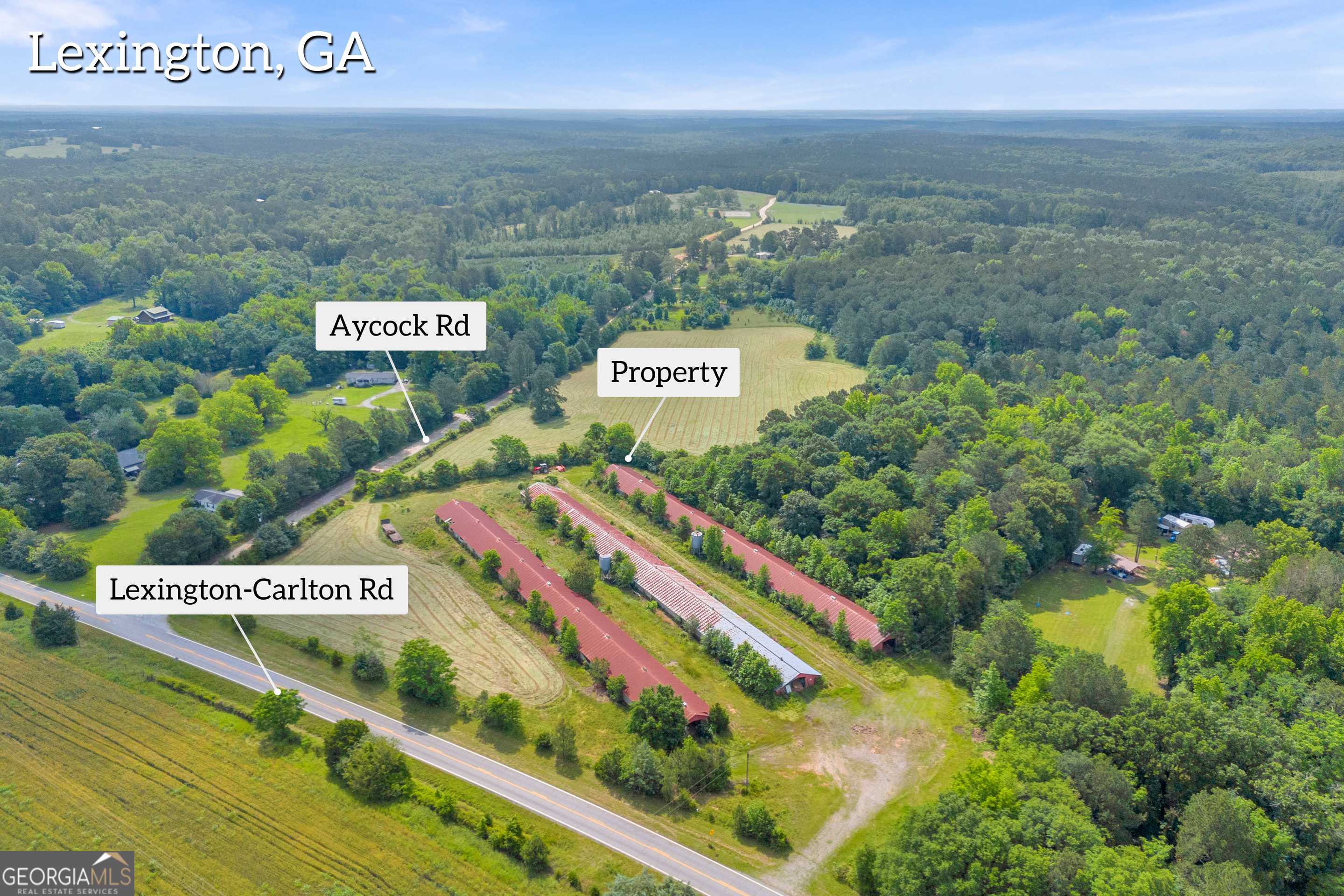 Lexington, GA 30648,366 - TRACT 4 Lexington Carlton RD