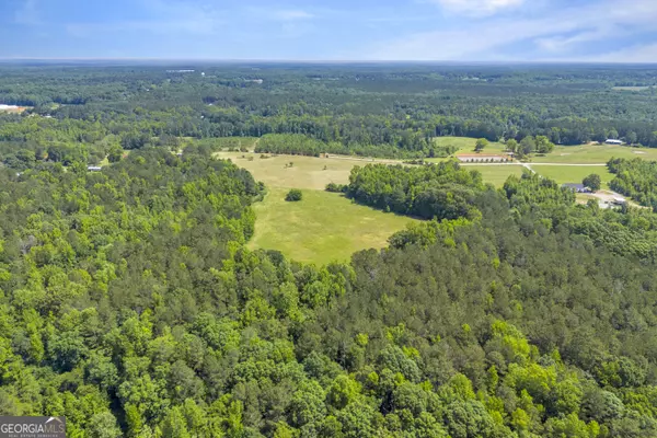 Lexington, GA 30648,366 - TRACT 5 Lexington Carlton RD