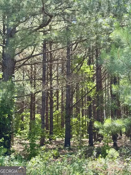 0 Sheppard RD, Tennille, GA 31089