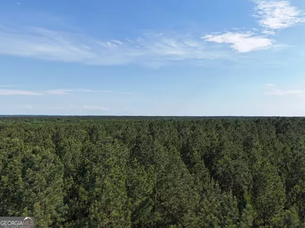 Rayle, GA 30660,0 Callaway RD