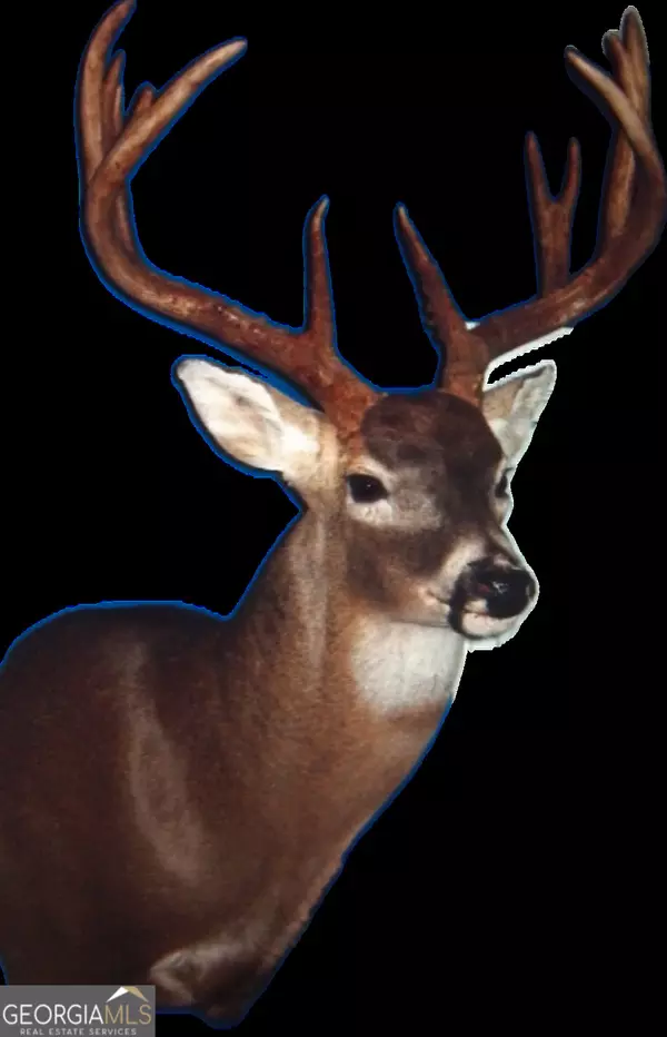 Rayle, GA 30660,0 Callaway RD