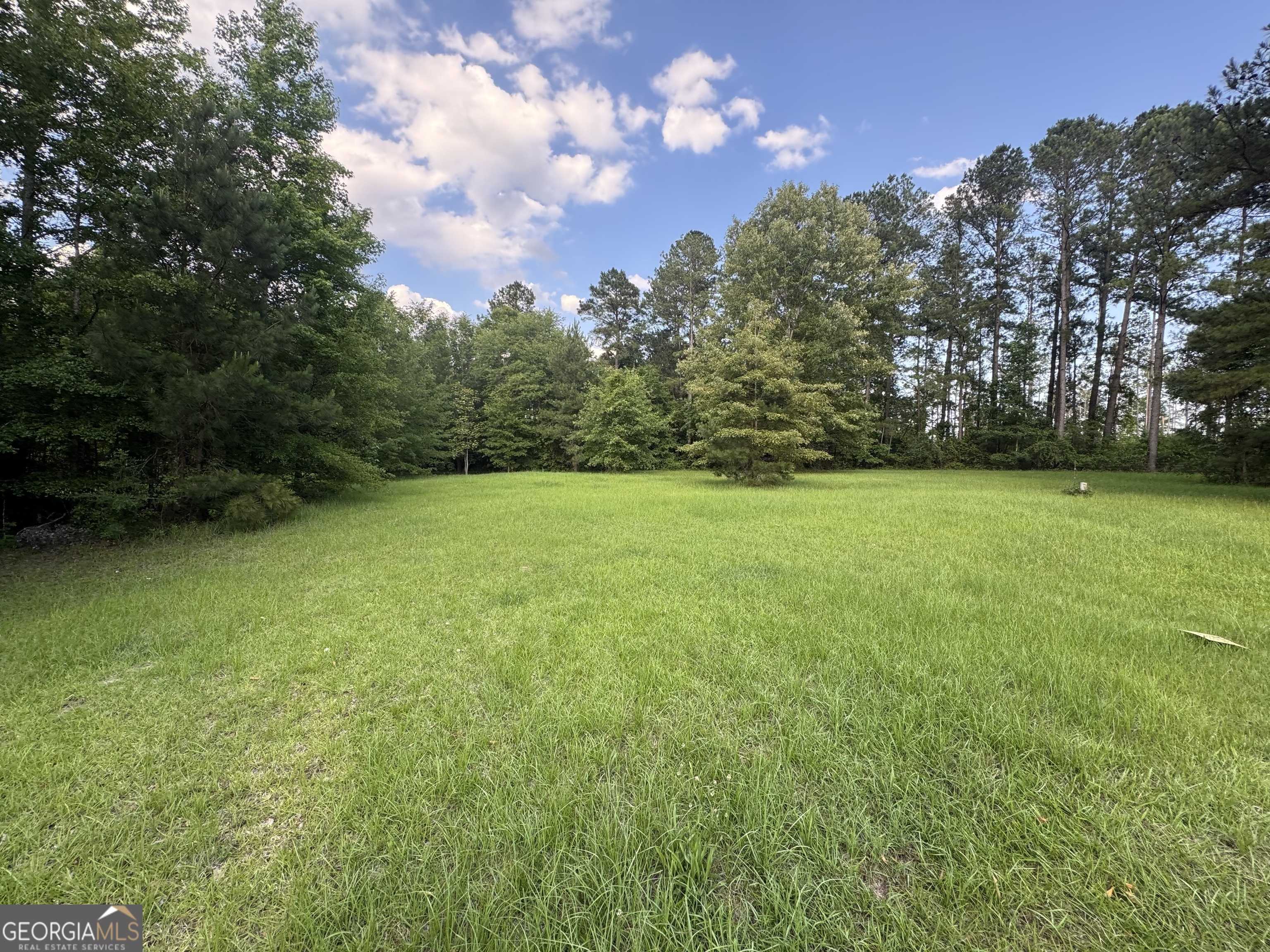 Dublin, GA 31021,00 Clyde PL