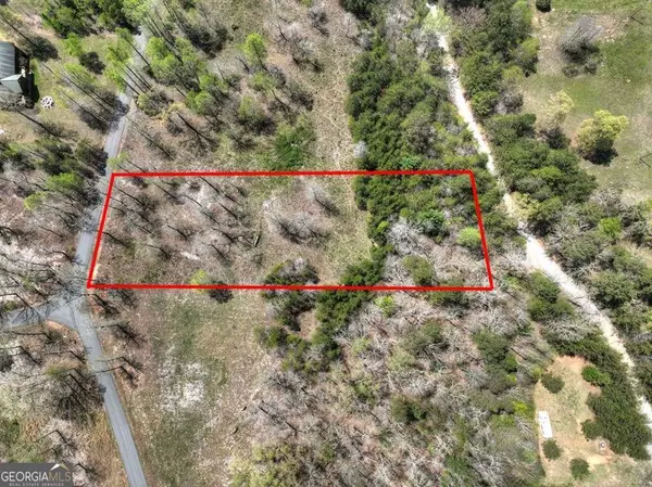 Mineral Bluff, GA 30559,6 Arbor Creek TRL #6