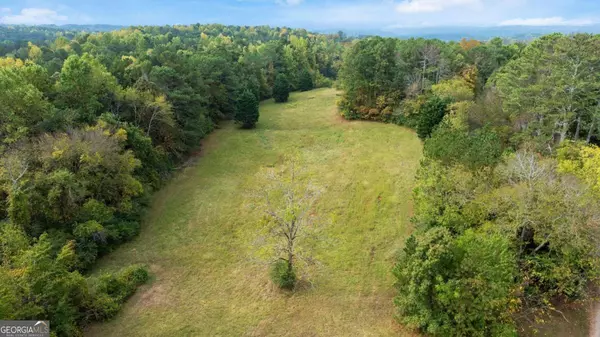 Ball Ground, GA 30107,150 Sperin Cabinet RD