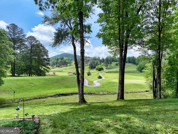 Blairsville, GA 30512,134 Birdie LN #TRACT-1