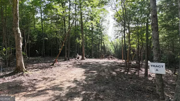 TR A East New Hope RD, Ellijay, GA 30536