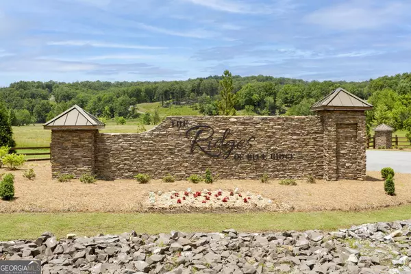 Morganton, GA 30560,1521 Ridge DR