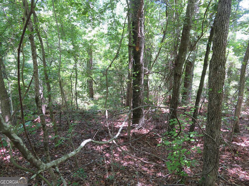 Buena Vista, GA 31803,0 Pineville Road